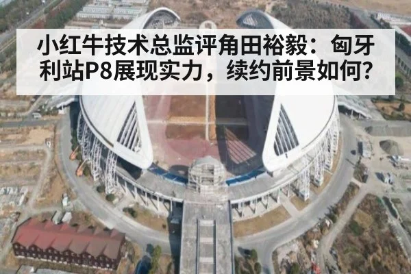 小红牛技术总监评角田裕毅：匈牙利站P8展现实力，续约前景如何？